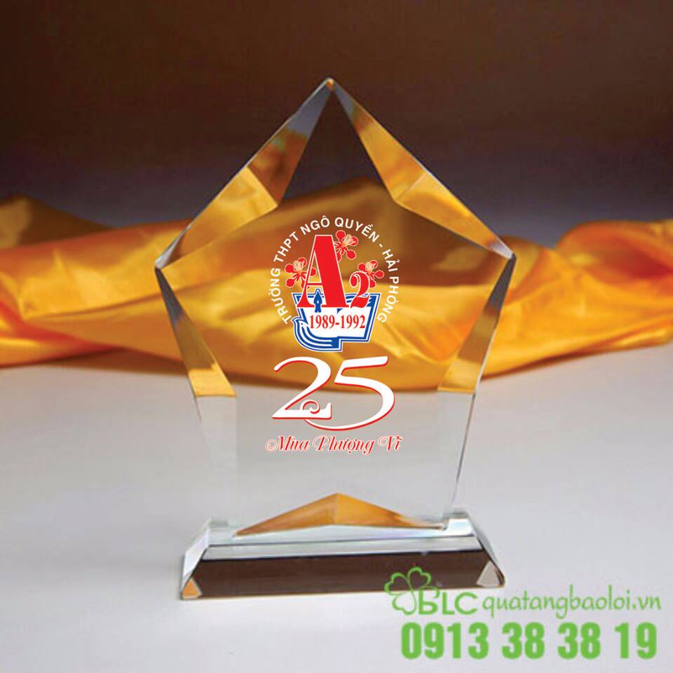 Cung cấp kỉ niệm chương rẻ, đẹp tại Hải Phòng