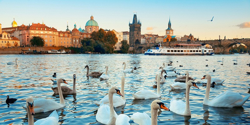 Quà tặng ý nghĩa - Quà Tặng Hải Phòng